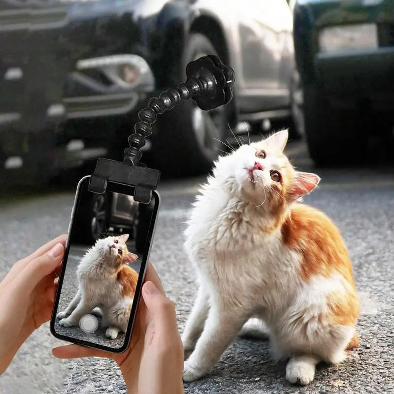 Pet Selfie Buddy Clip - Get Perfect Cat & Dog Photos