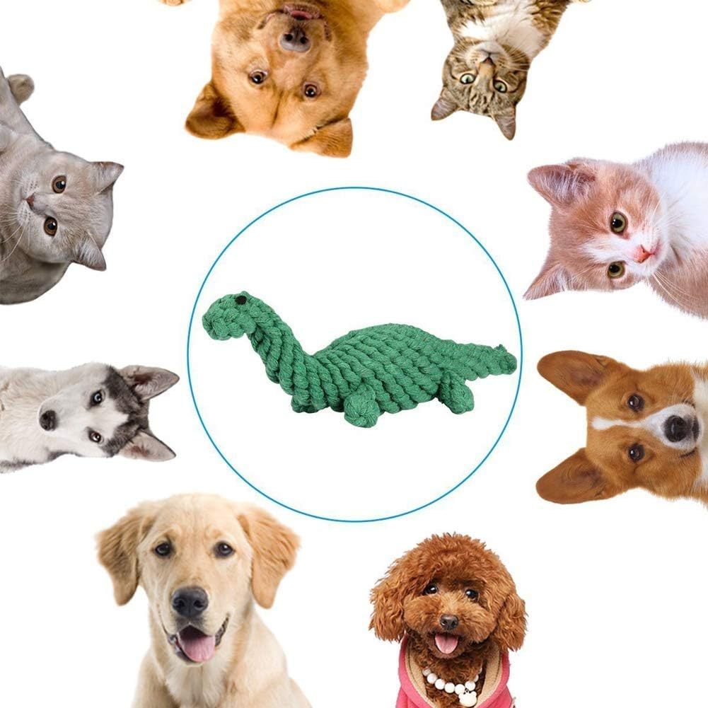 Durable Dino Rope Toy for Happy Chewers