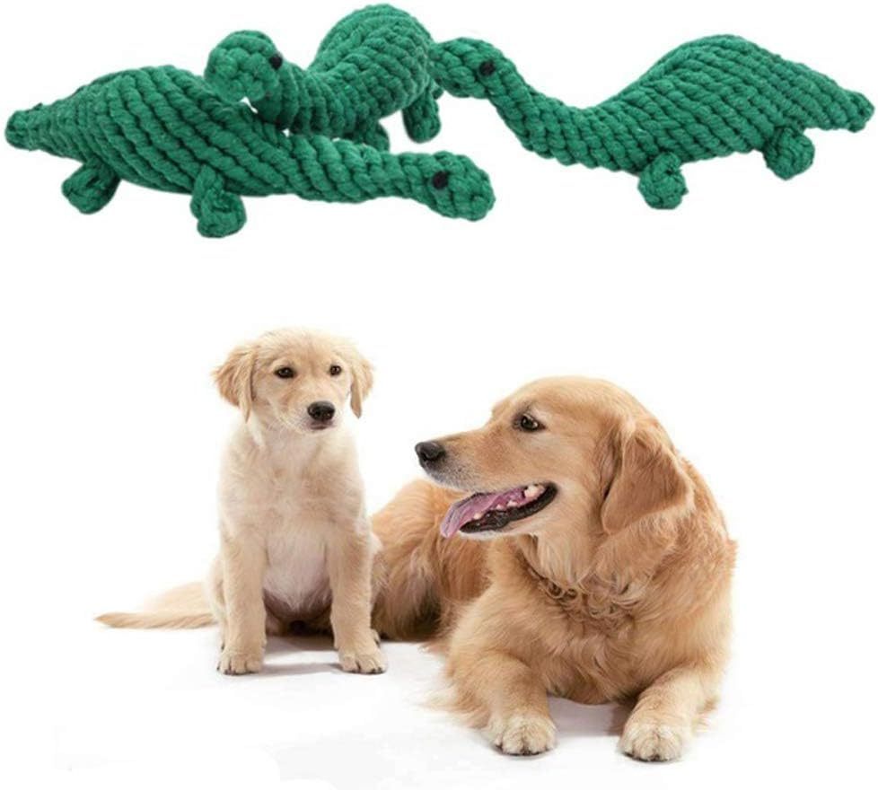 Durable Dino Rope Toy for Happy Chewers