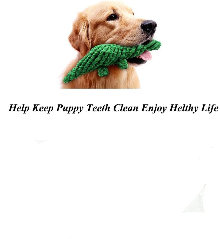Durable Dino Rope Toy for Happy Chewers